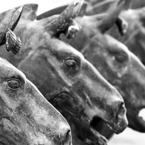 STRATEJE – 360° Strategic Advisory: maximizing equity value and growth trajectory.